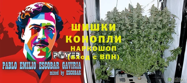 мяу мяу мука Горно-Алтайск
