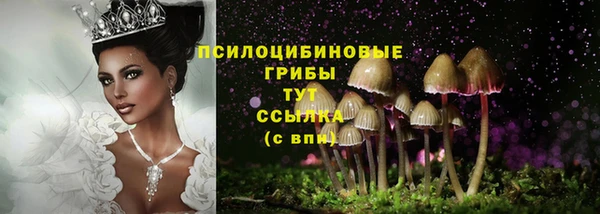 прущие крисы Гусь-Хрустальный