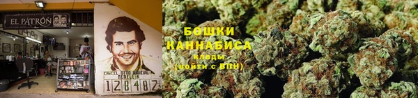 МДПВ Гусиноозёрск