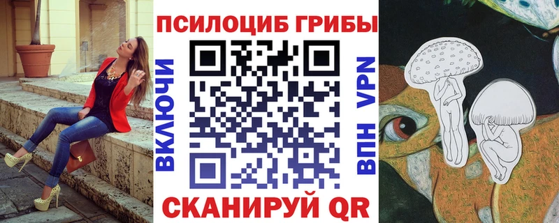 Купить Карачаевск Псилоцибиновые грибы Psilocybine cubensis